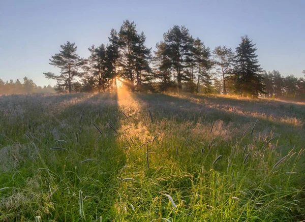 Campo Ivan Amanecer Karelia Rusia — Foto de Stock