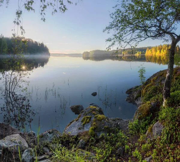 Jasne Rano Ładoga Karelia Rosja — Zdjęcie stockowe