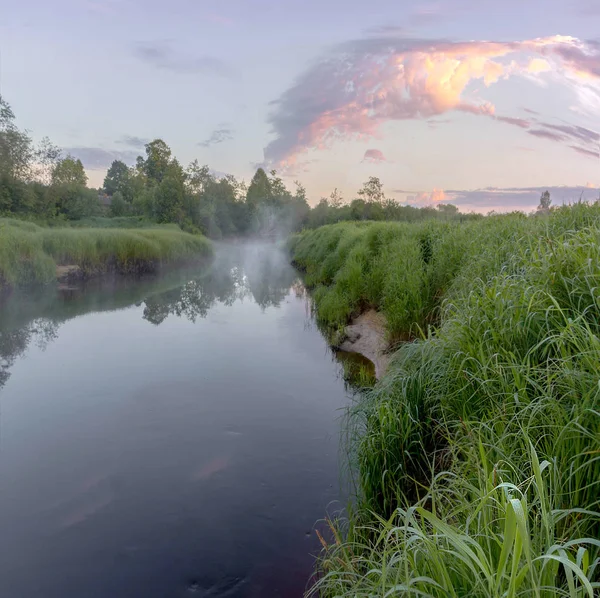Summer Evening River Leningrad Region Russia — Stock Photo, Image