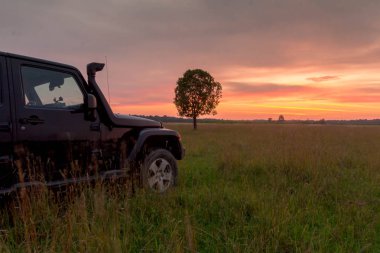 Novgorod bölgesi, Rusya, 19 Temmuz 2018: Jeep Wrangler gündoğumu alanında. Wrangler kompakt dört tekerlekli arabayla yol ve spor yeni araç kapalı olduğunu
