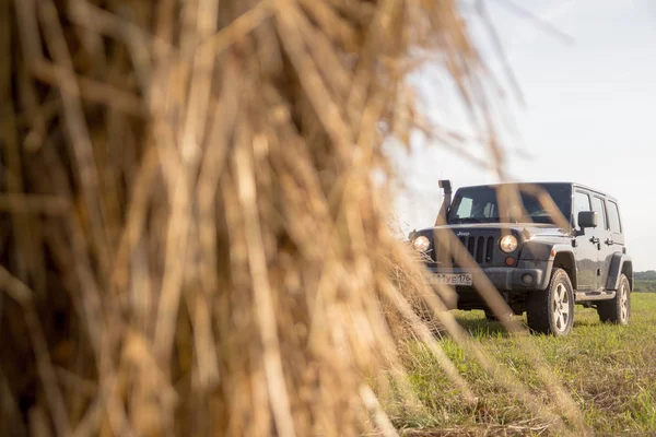 Novgorod Bölgesi Rusya Temmuz 2018 Jeep Wrangler Gündoğumu Alanında Wrangler — Stok fotoğraf