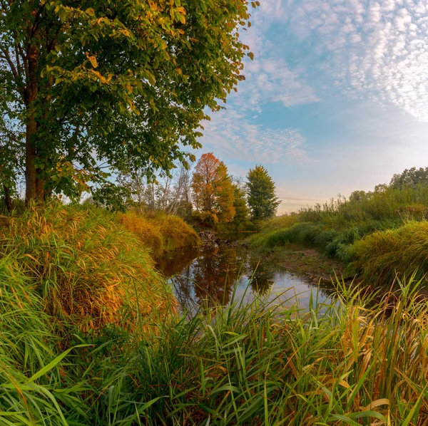 Φθινόπωρο Στον Ποταμό Δάσος Περιφέρεια Νόβγκοροντ Ρωσία — Φωτογραφία Αρχείου