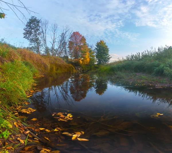 Podzim Řece Lesní Novgorodském Regionu Rusko — Stock fotografie