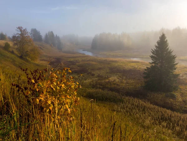 Otoño Río Bosque Región Leningrado Rusia — Foto de Stock