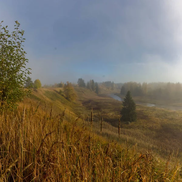 Podzim Řece Lesní Leningrad Region Rusko — Stock fotografie