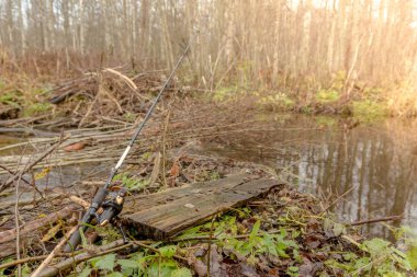 bir orman göl kenarında balık tutma iplik. Karelya