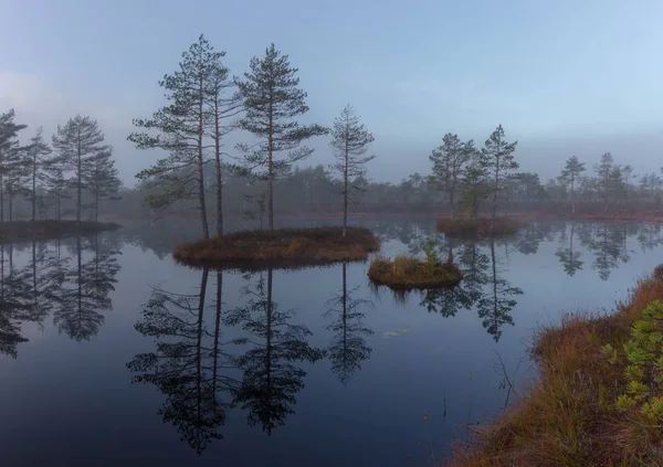 Misty Πρωί Στο Τέλμα Βόρεια Της Περιφέρειας Του Λένινγκραντ Ρωσία — Φωτογραφία Αρχείου