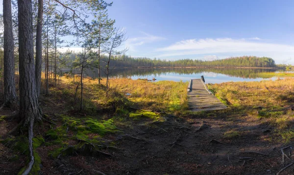 Houten Pier Oever Van Het Meer Van Een Bos Regio — Stockfoto