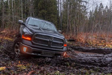 Leningrad bölge. Rusya, 16 Kasım 2018: Dodge Ram off-road Leningrad bölgesinde. General motors tarafından üretilen bir büyük kamyonet RAM olduğunu