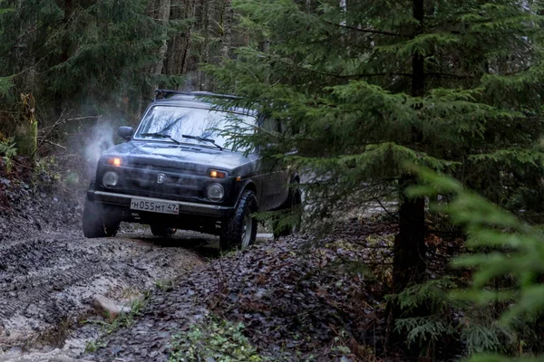 Région Leningrad Russie Novembre 2018 Vus Russe Lada Niva Hors — Photo