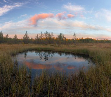Bataklık penceresine. Kuzey Karelya. Eylül 2018