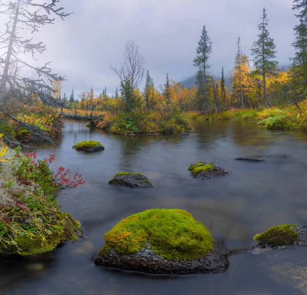 Зелений Каміння Лісовий Струмок Кольський Півострів Мурманська Обл Росія — стокове фото