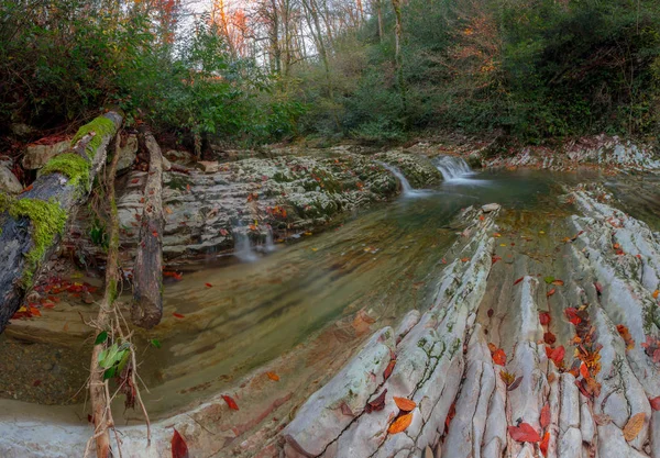 Canyon Del Fiume Montagna Parco Nazionale Sochi Montagne Del Caucaso — Foto Stock