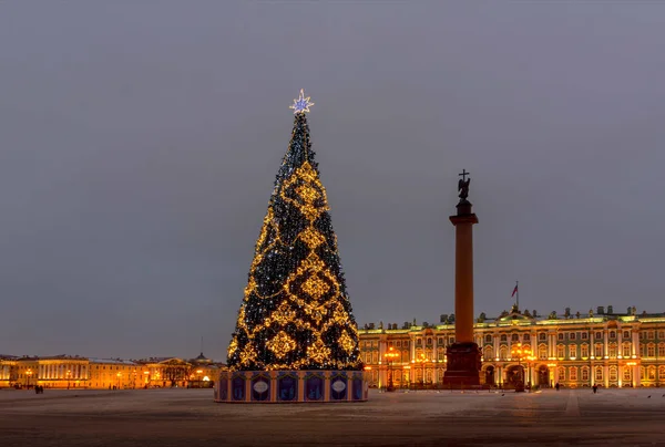 Choinka Placu Pałacowego Sankt Petersburgu Rosja — Zdjęcie stockowe