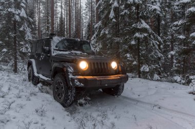 Leningrad bölge. Rusya, 20 Aralık 2018: Jeep Wrangler karlı bir ormanda. Leningrad bölge. Wrangler kompakt dört tekerlekli arabayla yol ve spor yeni araç kapalı olduğunu