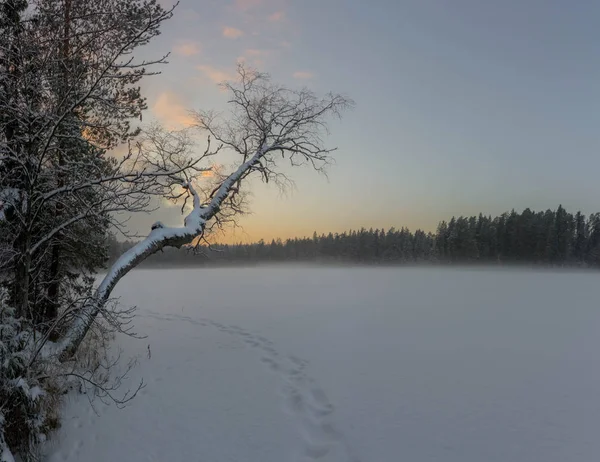 Winter Fog Lake Leningrad Region Russia — Stock Photo, Image