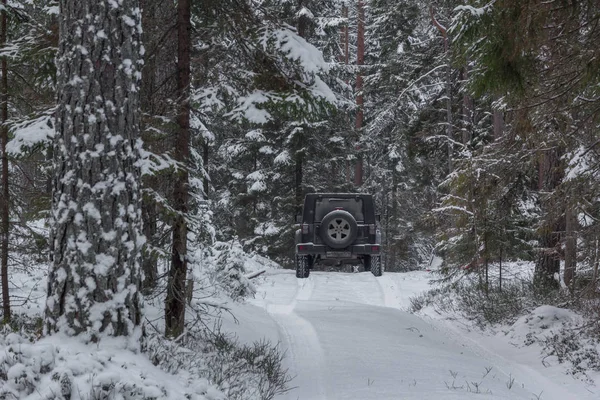 Regio Leningrad Rusland December 2018 Jeep Wrangler Een Besneeuwde Forest — Stockfoto