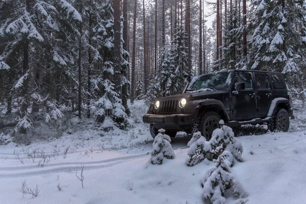 Leningrad Bölge Rusya Aralık 2018 Jeep Wrangler Karlı Bir Ormanda — Stok fotoğraf