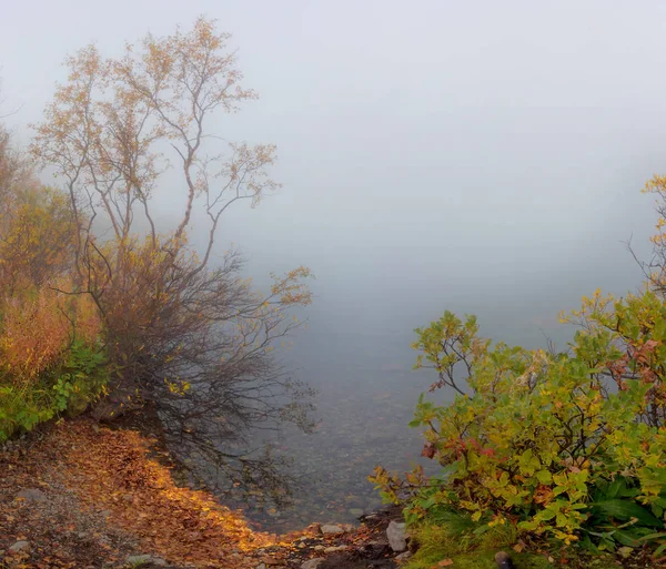 Nebliger Morgen Auf Dem See Maly Vudyavr Kola Halbinsel Gebiet — Stockfoto