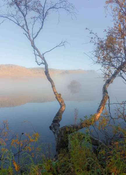 Nebliger Morgen Auf Dem See Maly Vudyavr Kola Halbinsel Gebiet — Stockfoto