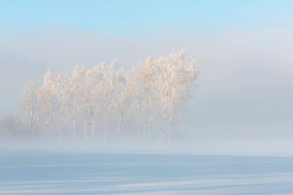 Minimalismo Inverno Névoa Sobre Campo Nevado — Fotografia de Stock