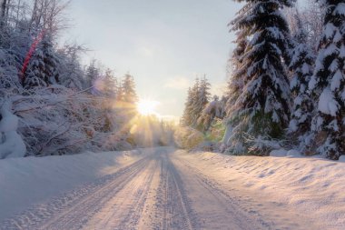 Gün batımında kış yol. Leningrad bölge. Rusya