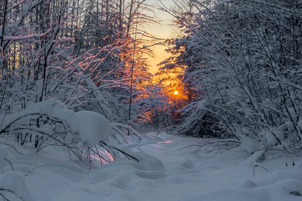 Ηλιοβασίλεμα Στο Δάσος Χειμώνα Κοιλάδα Του Ποταμού Στο Ηλιοβασίλεμα Περιφέρεια — Φωτογραφία Αρχείου