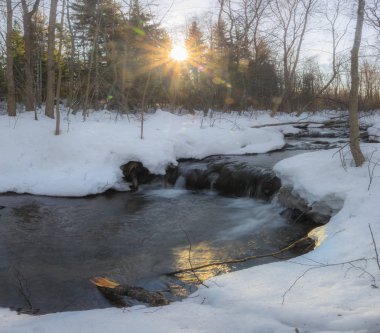ormanda bahar. Karelya. Rusya