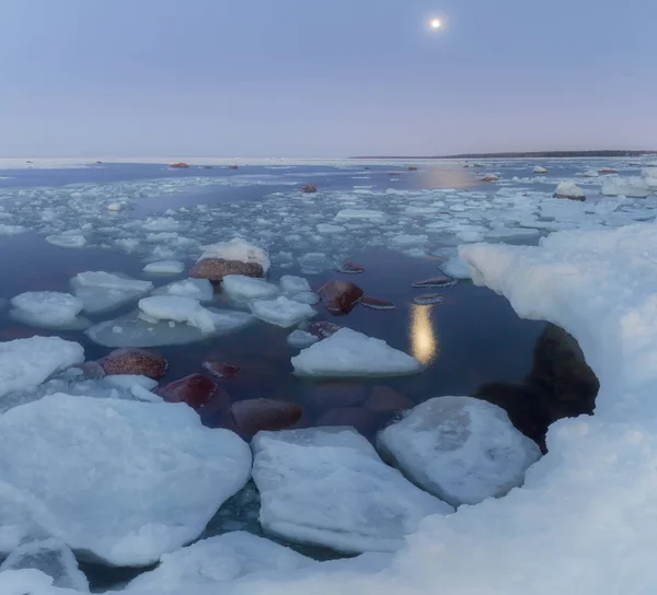Sorgere Della Luna Sul Golfo Finlandia Regione Leningrado Russia — Foto Stock