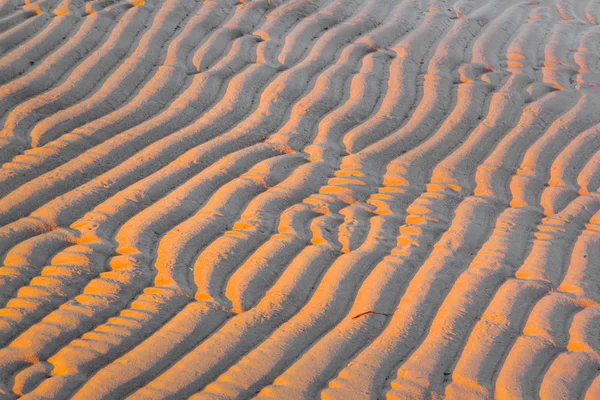 Padrão Areia Textura Minimalista — Fotografia de Stock