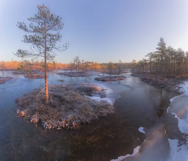 Sunrise Swamp Leningrad Region Russia — Stock Photo, Image