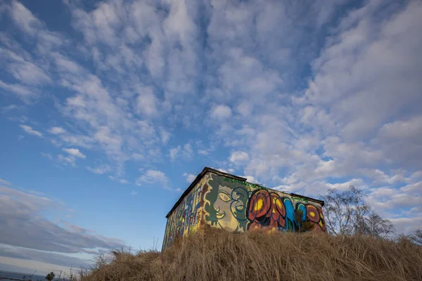 Golfe Finlande Région Leningrad Russie Avril 2019 Graffiti Sur Fortification — Photo