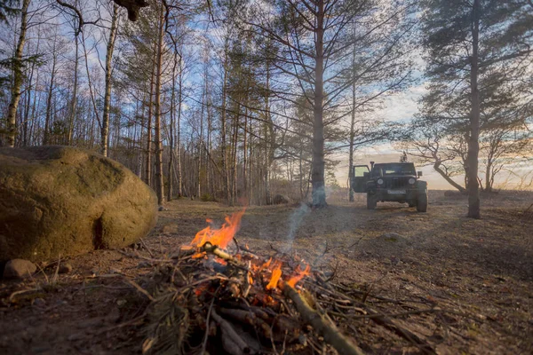 Fire Spring Forest River Bank Leningrad Region Russia — Stock Photo, Image