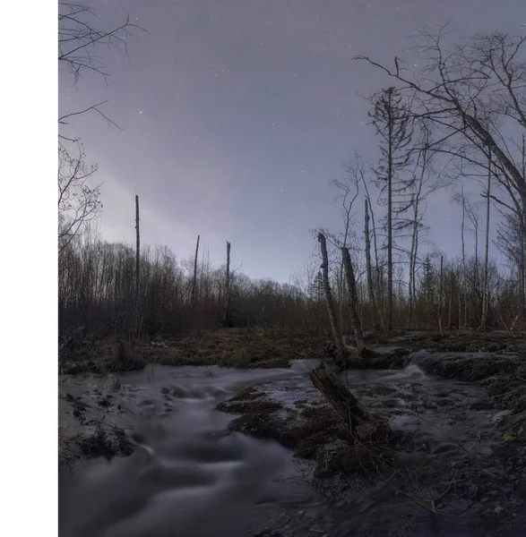 Nuit Étoilée Sur Marais Région Leningrad Russie — Photo