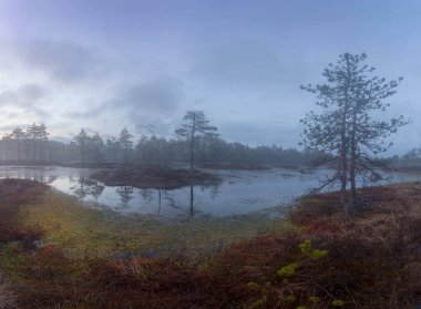Bataklıkta gün batımı. Karelya. Rusya