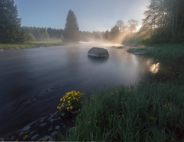 Neblige Nacht Auf Dem Waldfluss Leningrader Gebiet Russland — Stockfoto