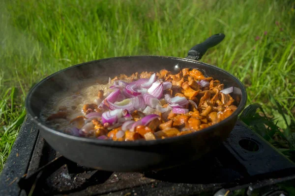 Frying Pan Mushrooms Chanterelles — Stock Photo, Image