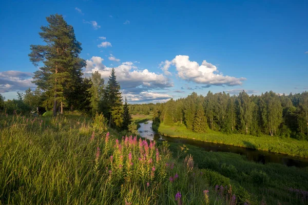 Панорама Долины Реки Ленинградская Область Россия — стоковое фото