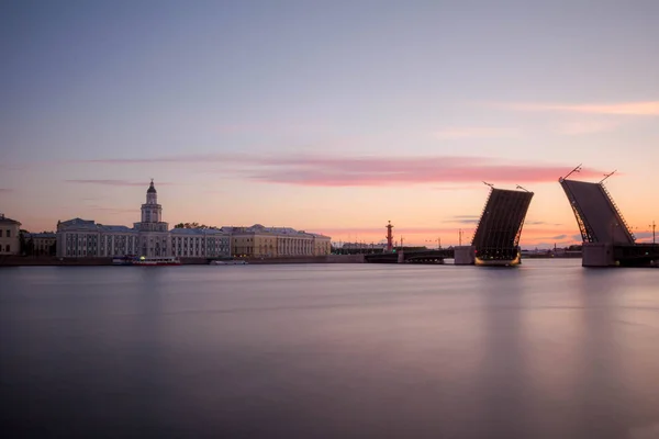 Divorce Pont Palace Saint Pétersbourg Russie — Photo