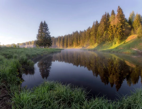 Πρωί Στο Δάσος Του Ποταμού Περιοχή Λένινγκραντ Ρωσία — Φωτογραφία Αρχείου