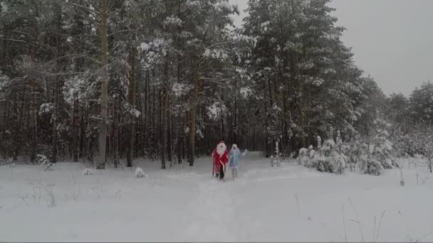 Weihnachtsmann im roten Mantel mit Tasche und weißem Bart und eine kleine Enkelin im Winter im Wald — Stockvideo