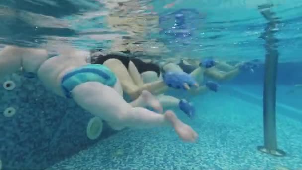 Aeróbicos acuáticos de mujeres gordas en la piscina — Vídeo de stock