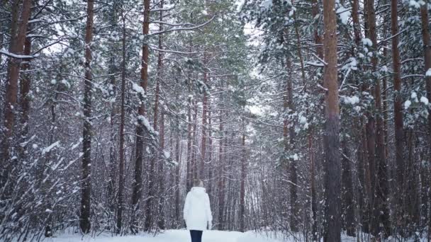 Ein einsames Mädchen spaziert im Winter in einem Kiefernwald — Stockvideo