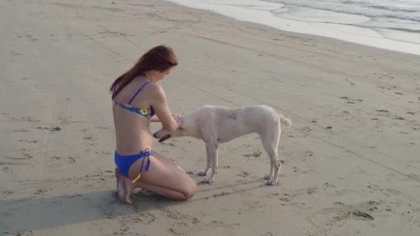 Красива дівчина і собака біля моря — стокове відео