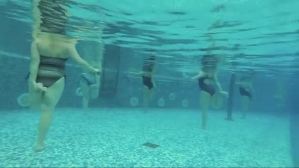 Aqua aerobics, healthy lifestyle, water sport — Stock Video