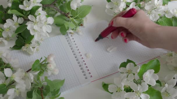 Picture of a red heart on a notebook — Stock Video