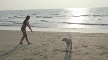 Kız ve beyaz köpek eğlenceli sahilde oynuyorlar