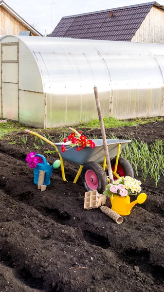 Тележка с цветами и теплица в саду. Сельское хозяйство — стоковое фото