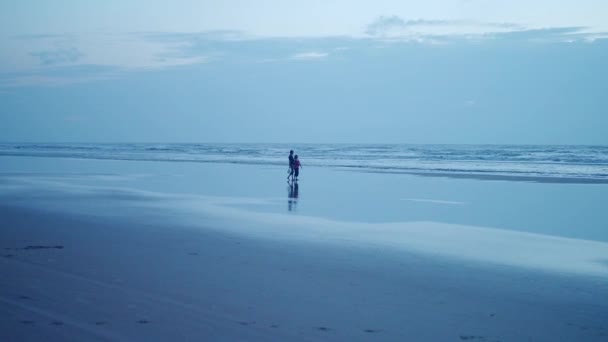 Silueta de hombre y mujer embarazada caminando a lo largo de la orilla del mar al atardecer. 4K — Vídeos de Stock