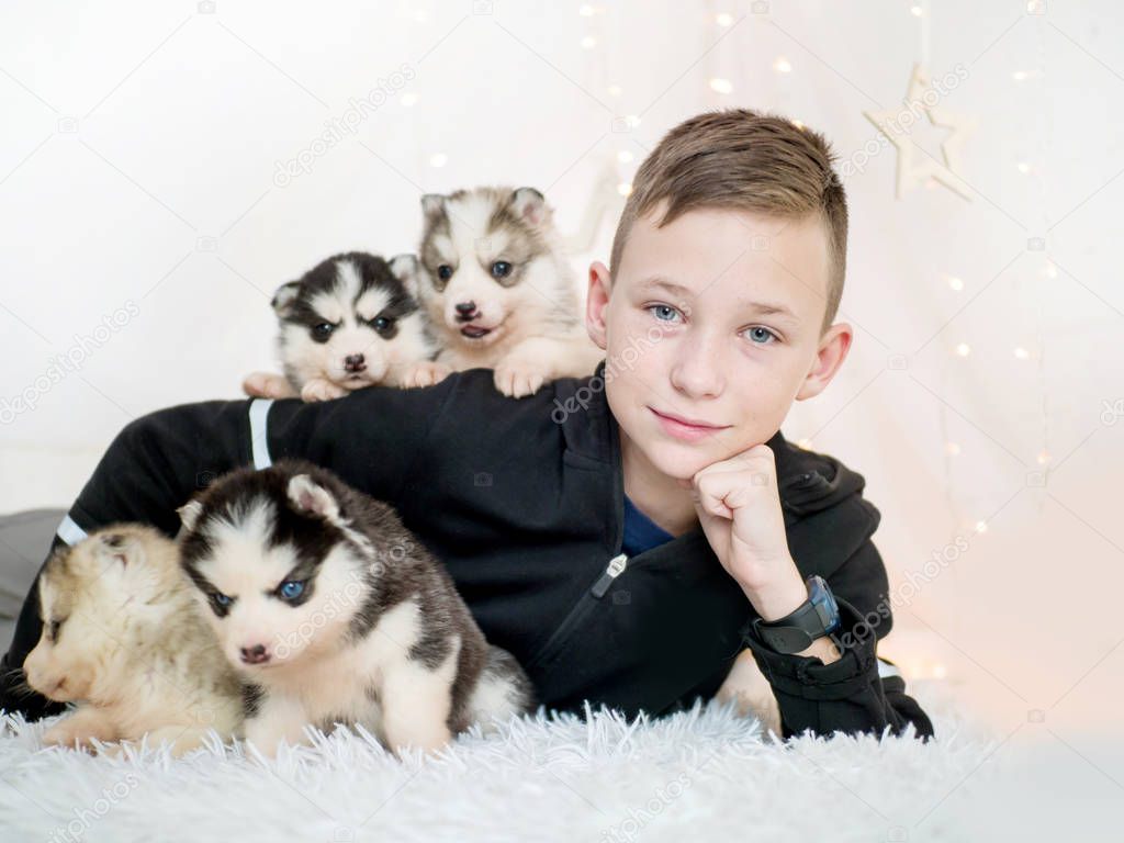 Happy little boy lying with husky puppies on white background